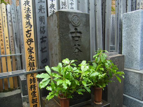 RIMG0858