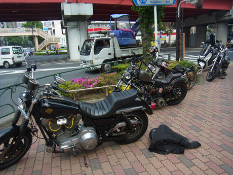 RIMG1155