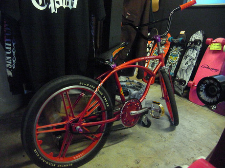 RIMG0224