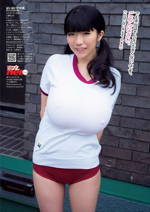 pai07