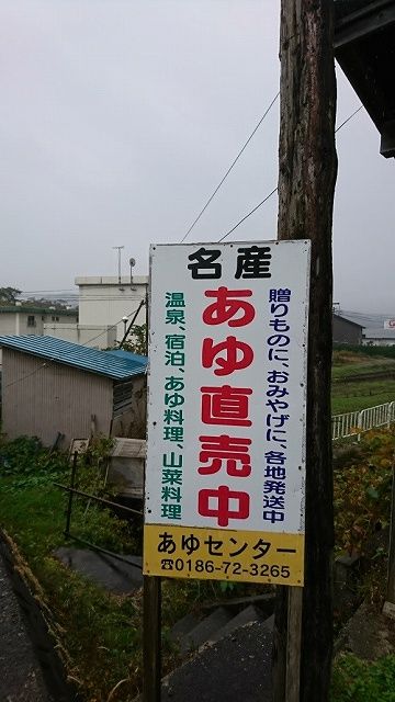 yb14010