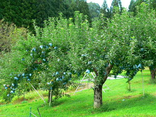P1000679