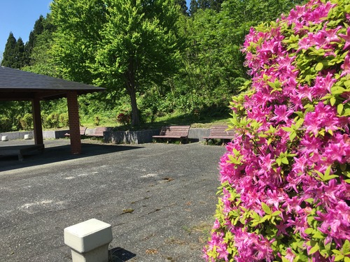 7F8C5F4F-50B7-4769-AD17-8F127660CE52