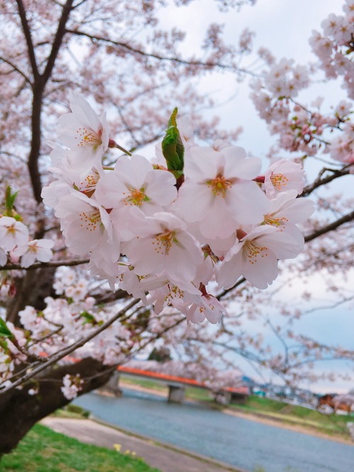 9FF9E9AC-4B1C-47EE-BB6B-3E212085E471