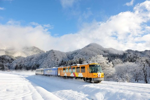 1529921_632430626823138_719315303_o