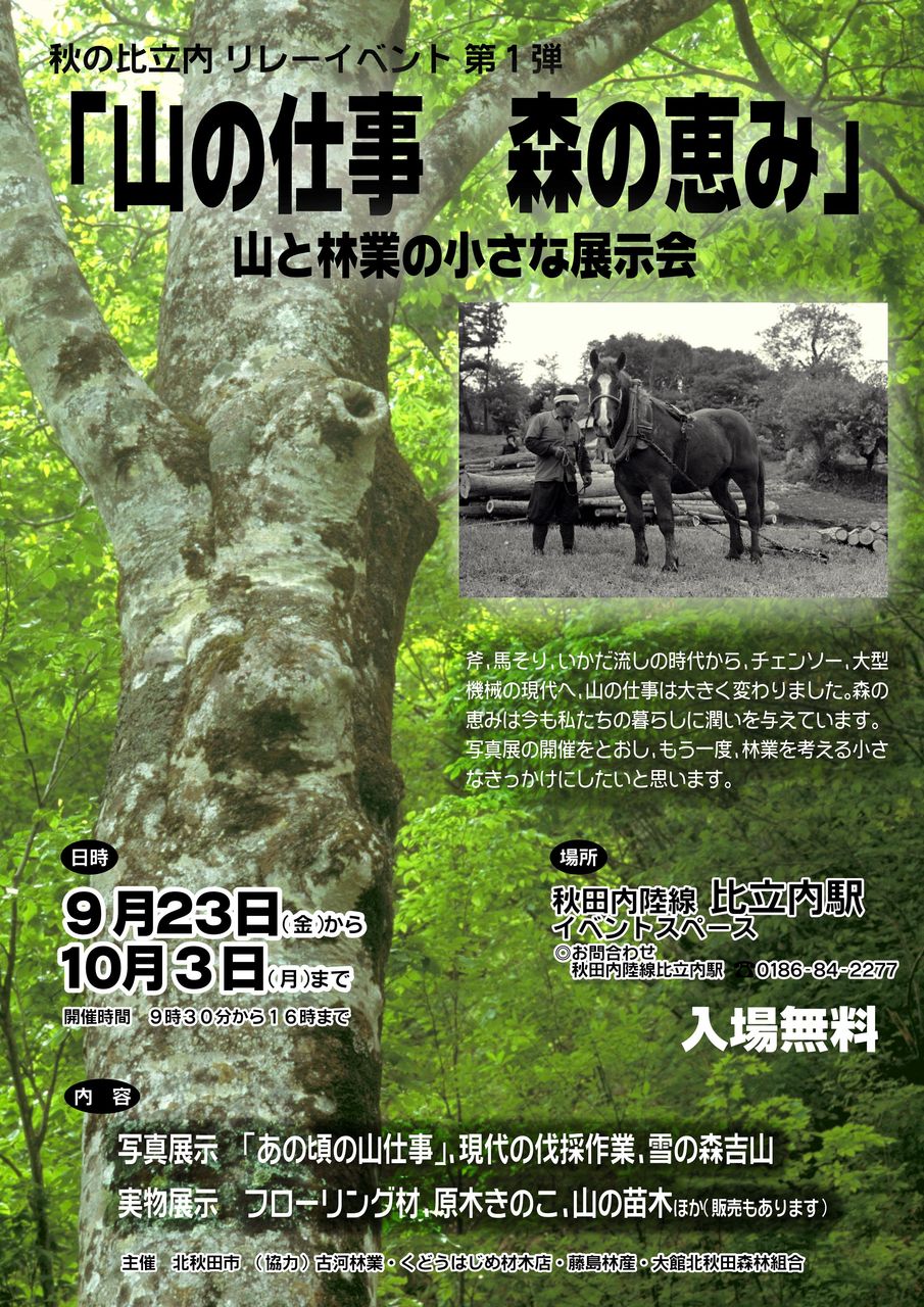 大塚寧々 の掲示板投稿写真＆画像