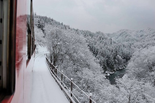 1495110_627986623934205_1425400714_o