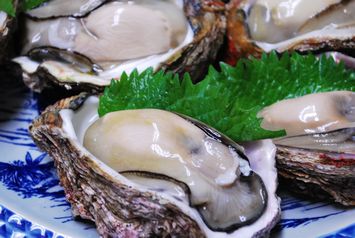山北産 岩かき