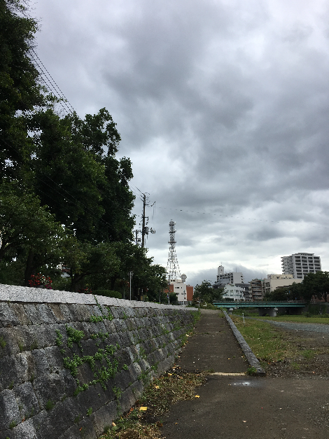 031(1)