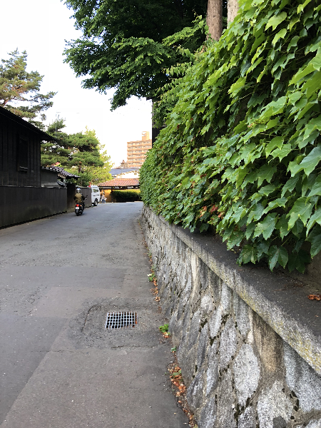 037(1)