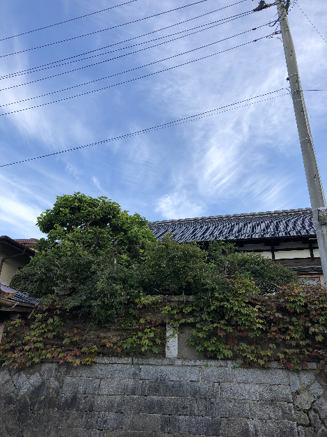 004(1)