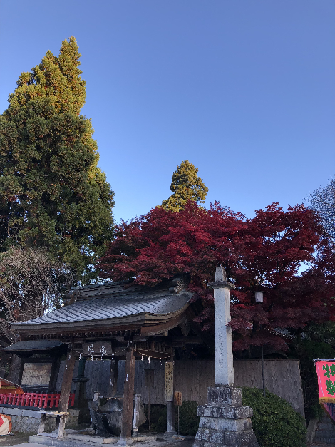 025(1)
