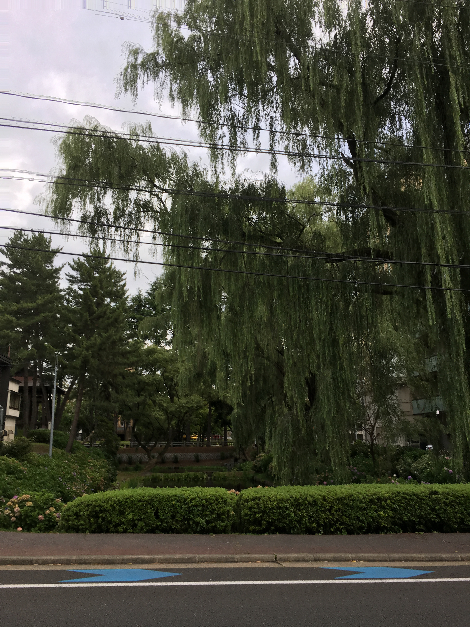 041(1)