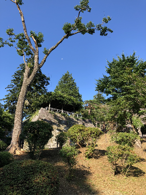 060(1)