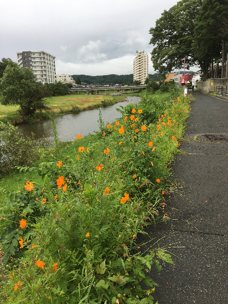 009(1)