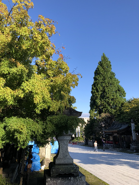 032(1)
