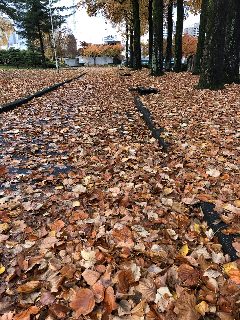 012(1)