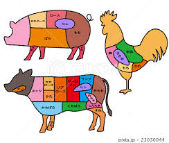 牛、豚、鶏の画像00題
