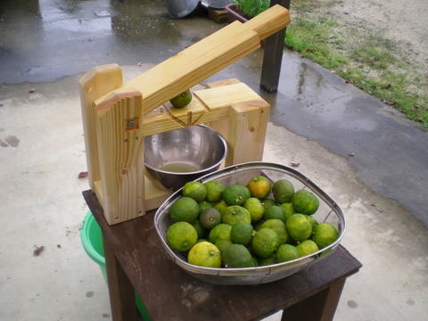 DSCN4485