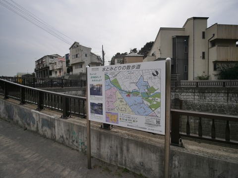 s3_P1100234