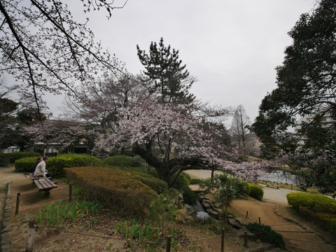 s_P1100220
