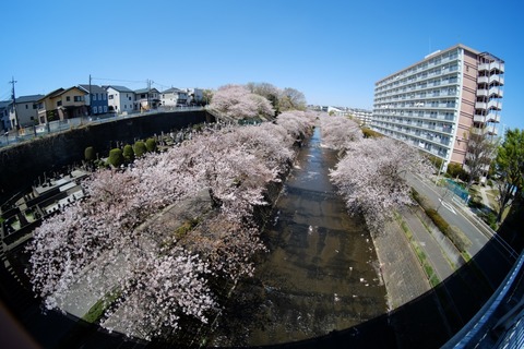 s_DSCF0540