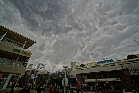 s_DSC06212