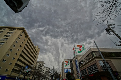 s_DSC06208
