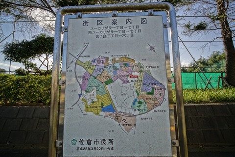 s_DSC05317