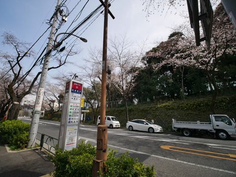 s_P1100146