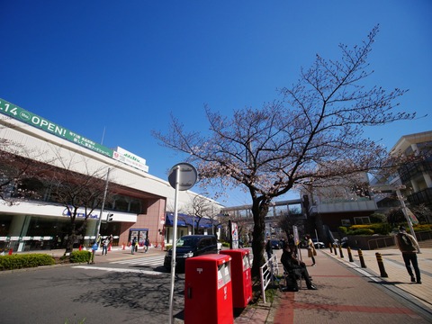s_P1090985