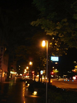 DSCF3394 (2)