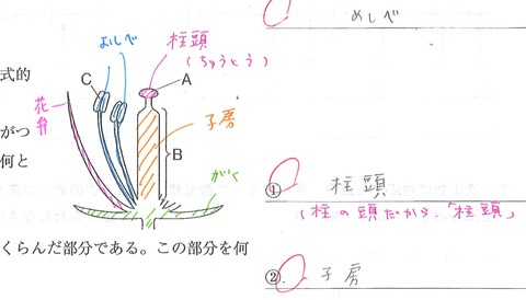 20150626012804_00001