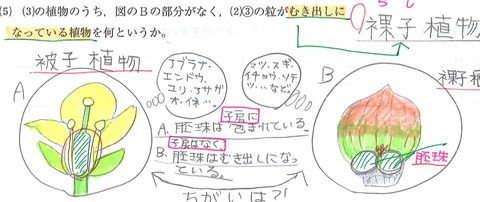 20150611010734_00012