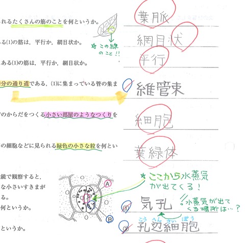 20150626012804_00006