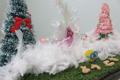 IMG_2710