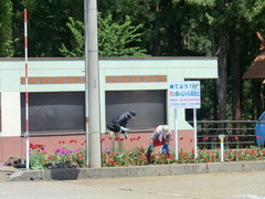 CIMG0602