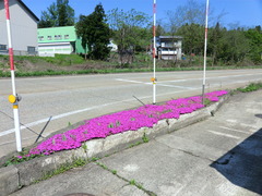 CIMG0590