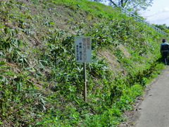 CIMG0586