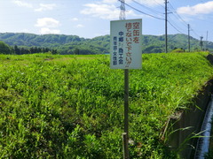 CIMG0588