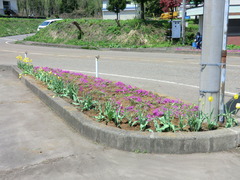 CIMG0604