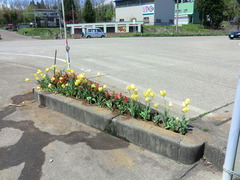 CIMG0611