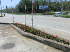 CIMG0607