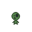 kodama01