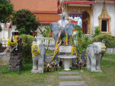 DSC08198