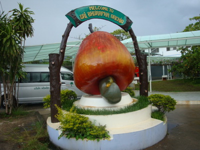DSC01614