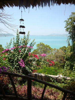 DSC06981