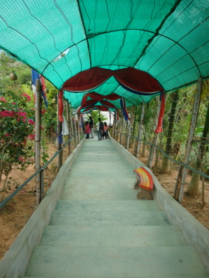 DSC07327