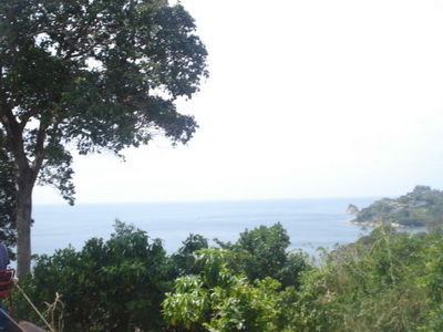 DSC08183