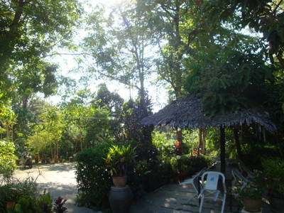 DSC06916
